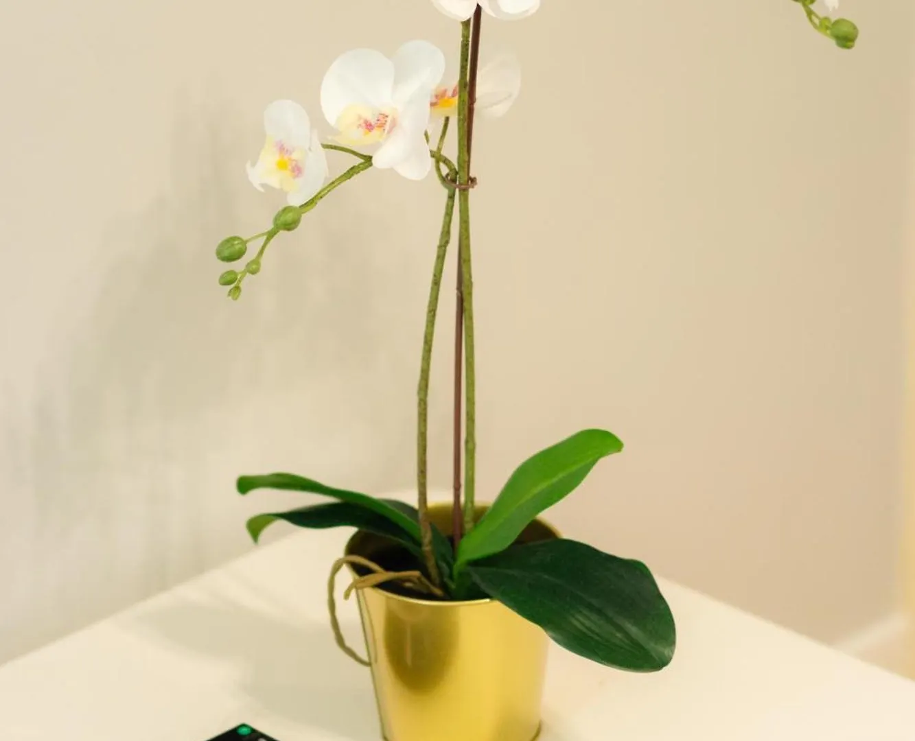 Beautiful Yellow Apartment Near Marais And Bastille Paris